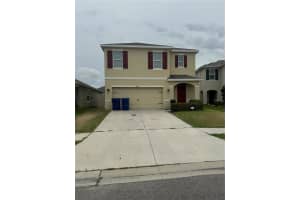 8174 Pelican Reed Cir, WESLEY CHAPEL