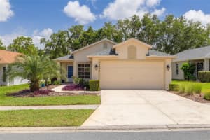 11078 Heathrow Ave, SPRING HILL