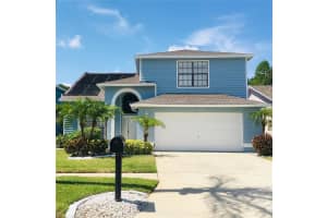 11121 Clayridge Dr, TAMPA