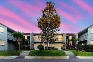 14419 Americana Cir #103, TAMPA