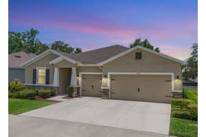 2513 Knight Island Dr, BRANDON 2513 Knight Island Dr, BRANDON
