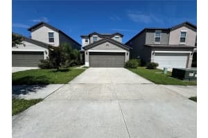 4448 Globe Thistle, TAMPA