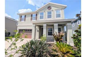 32599 Natural Bridge Rd, WESLEY CHAPEL