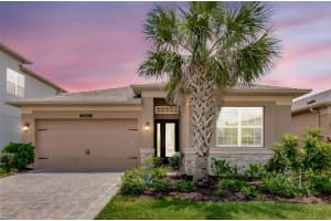 3060 Mountain Spruce Ter, WESLEY CHAPEL