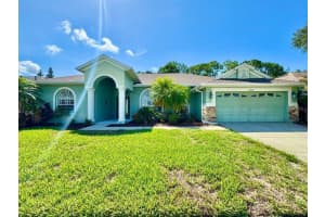 14639 Coral Berry Dr, TAMPA