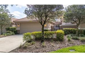 17735 Oak Bridge St, TAMPA