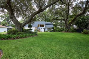 15917 Dover Cliffe Dr, LUTZ