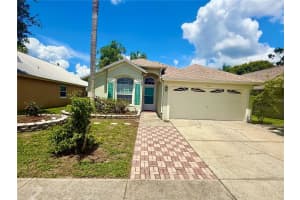 9614 Long Meadow Dr, TAMPA