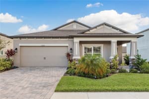 12451 Nouveau Ave, SPRING HILL