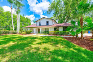 4509 Old Orchard Dr, TAMPA