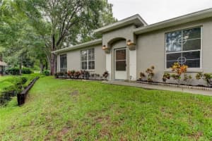3147 Brooker Creek Way, PALM HARBOR
