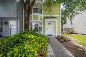14031 Lemon Valley Pl, TAMPA