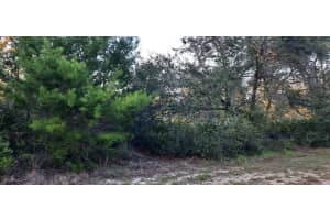 910 Granada Dr, INDIAN LAKE ESTATES