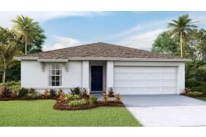 1217 Cape Chestnut Pl, RUSKIN