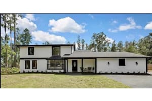 19003 Cedar Ln, LUTZ