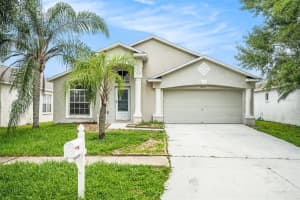 10039 Creek Bluff Dr, RIVERVIEW