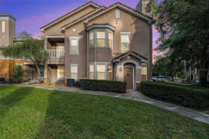 10436 Villa View Cir, TAMPA