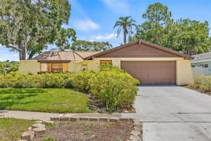 8405 Woodbridge Blvd, TAMPA