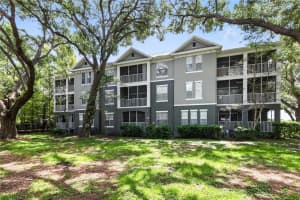 1201 High Hammock Dr #302, TAMPA