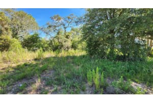 12501 Centennial St, SPRING HILL