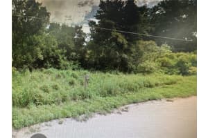 Rose Ave, LEESBURG