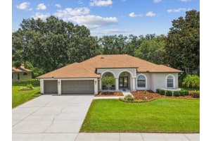 18803 Misty Shores Ln, LUTZ