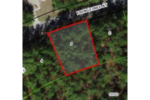37 Fringetree St, HOMOSASSA