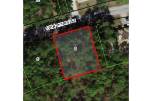 39 Fringetree St, HOMOSASSA