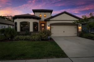 11597 Weaver Hollow Rd, NEW PORT RICHEY