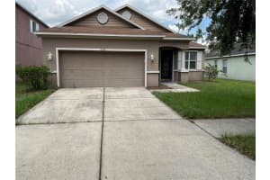 11253 Running Pine Dr, RIVERVIEW