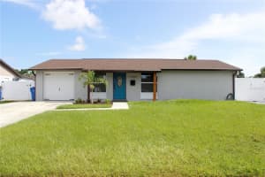 7909 Woodgrove Cir, TAMPA
