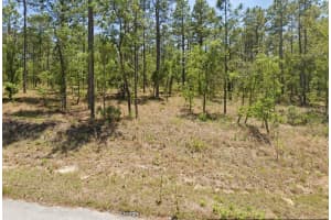 454605 Nw Geranium Ave, DUNNELLON