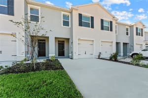 31336 Paper Birch St, WESLEY CHAPEL