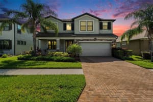 19209 Long Lake Ranch Blvd, LUTZ