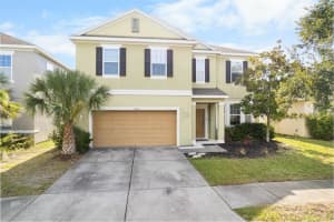 11539 Tangle Branch Ln, GIBSONTON