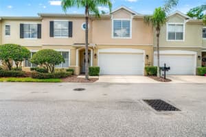 3519 Heards Ferry Dr, TAMPA