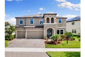 12821 Satin Lily Dr, RIVERVIEW 12821 Satin Lily Dr, RIVERVIEW