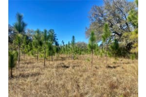 00 Unnamed, SPRING HILL
