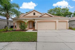 12814 Cattail Shore Ln, RIVERVIEW