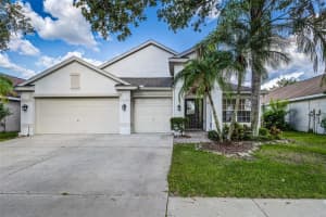 10364 Lightner Bridge Dr, TAMPA