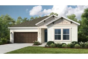 33618 Castaway Loop, WESLEY CHAPEL