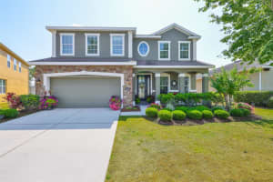 11044 Spring Point Cir, RIVERVIEW