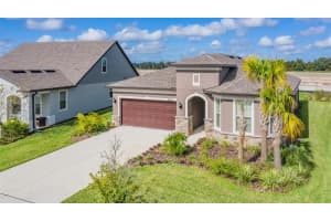 8202 Olive Brook Dr, WESLEY CHAPEL