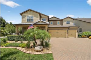 10313 Scarlet Chase Dr, RIVERVIEW
