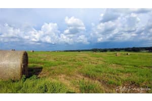 8440 Gall Blvd, ZEPHYRHILLS