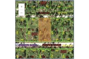 0 Belmont Dr, INDIAN LAKE ESTATES