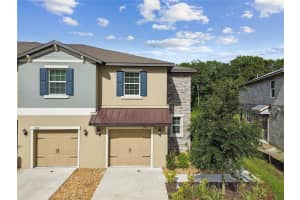 17516 Nectar Flume Dr, LAND O LAKES