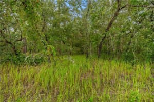 0000 Maybird Ave, WEEKI WACHEE