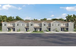 31310 Paper Birch St, WESLEY CHAPEL