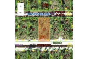 0 Tropicana Dr, INDIAN LAKE ESTATES